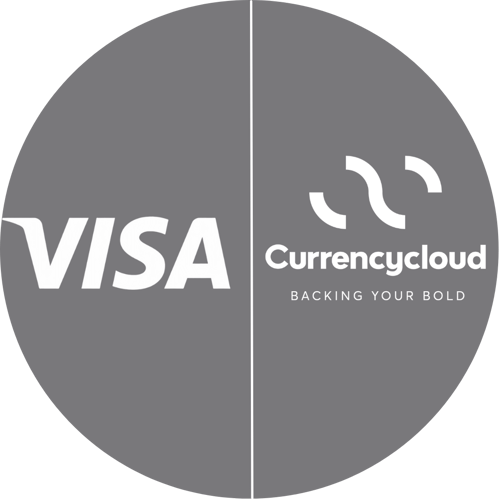 visa-cc-new-logo