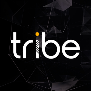 Ce que la finance intégrée implique pour les banques : entretien avec Tribe Payments