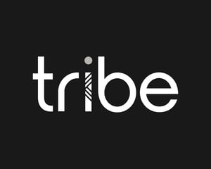 Tribe : gestionnaire de paiements et partenaire technologique